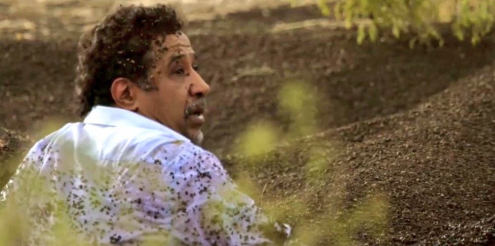 هادا هو المبلغ اللي حصل عليه  خالد في برنامج رامز تحت الأرض