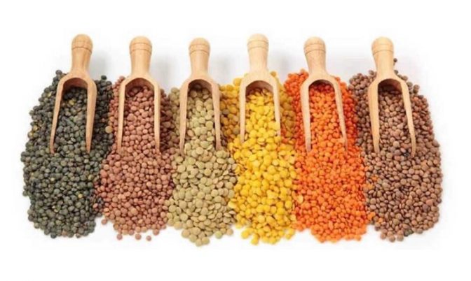 اليك لالة مولاتي أنواع العدس