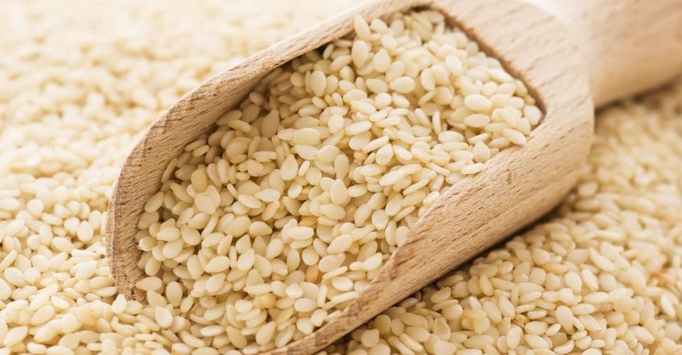 يقلل ضغط الدم ويحمي من السرطان.. فوائد الزنجلان