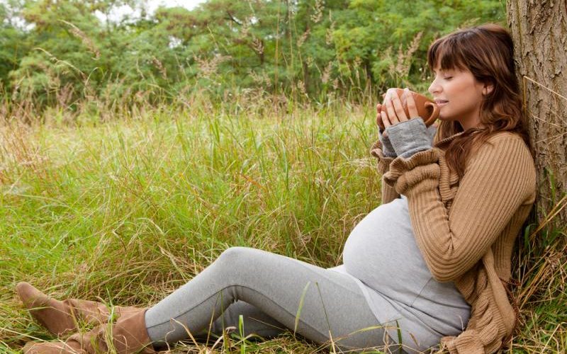 حامل أومرضع؟؟حذار من استعمال هذه الأعشاب والزيوت