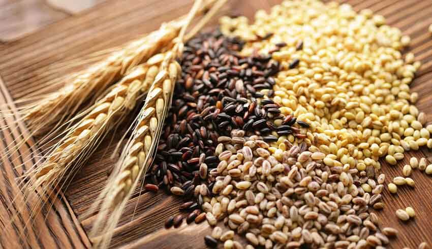 البقوليات والحبوب الكاملة تساعد في الوقاية من هشاشة العظام