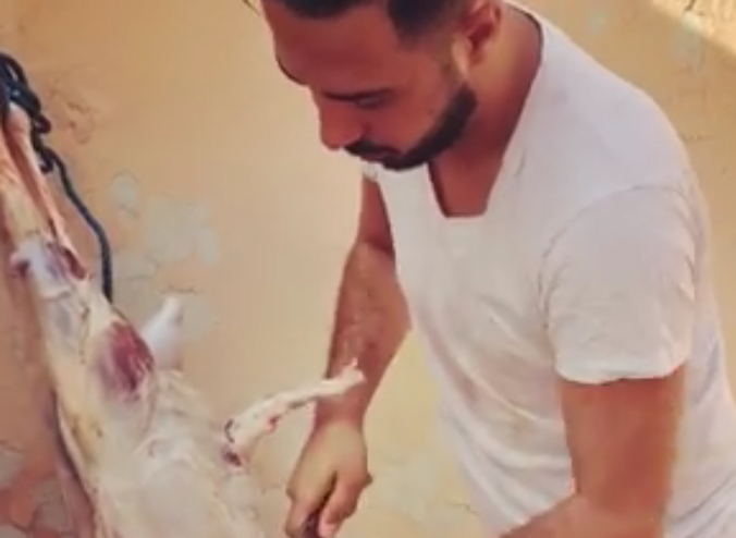 بدر سلطان يستعرض مهاراته في سلخ أضحية العيد (فيديو)