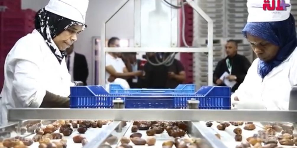 إقليم الرشيدية.. تعاونية للتمر تفك الحصار عن النساء