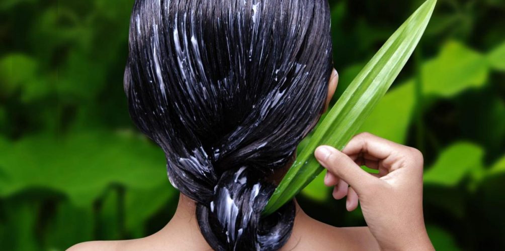 ماسك الصبّار لترطيب شعرك في فصل الشتاء!