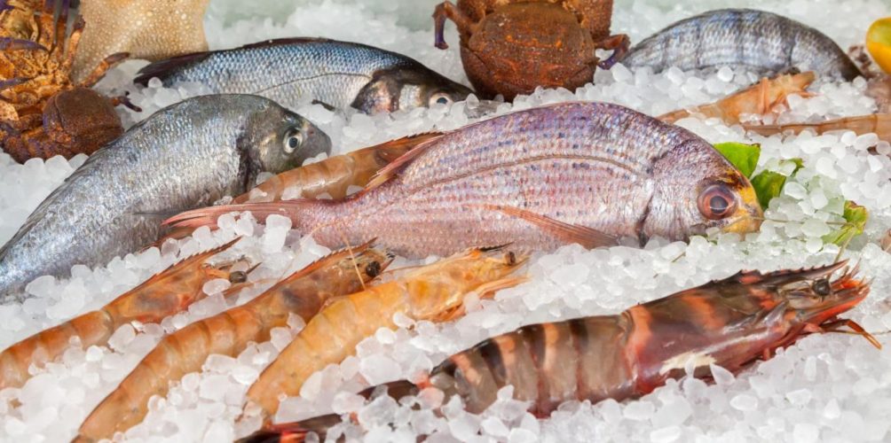 السمك الطازج والمجمد.. تعرفي على الفرق