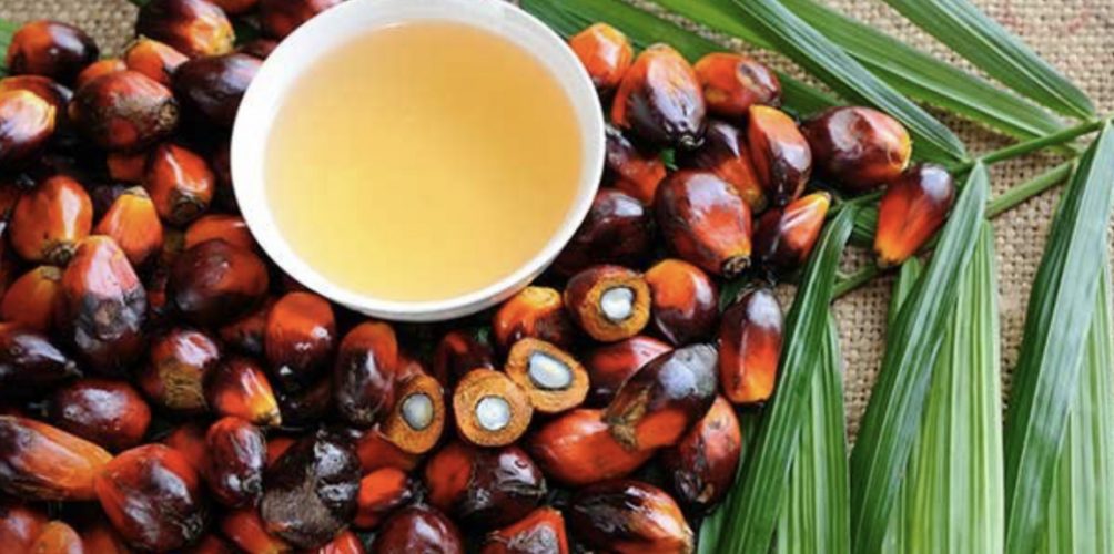 يخلّصك من البقع الداكنة على الوجه.. فوائد مذهلة لزيت النخيل على البشرة