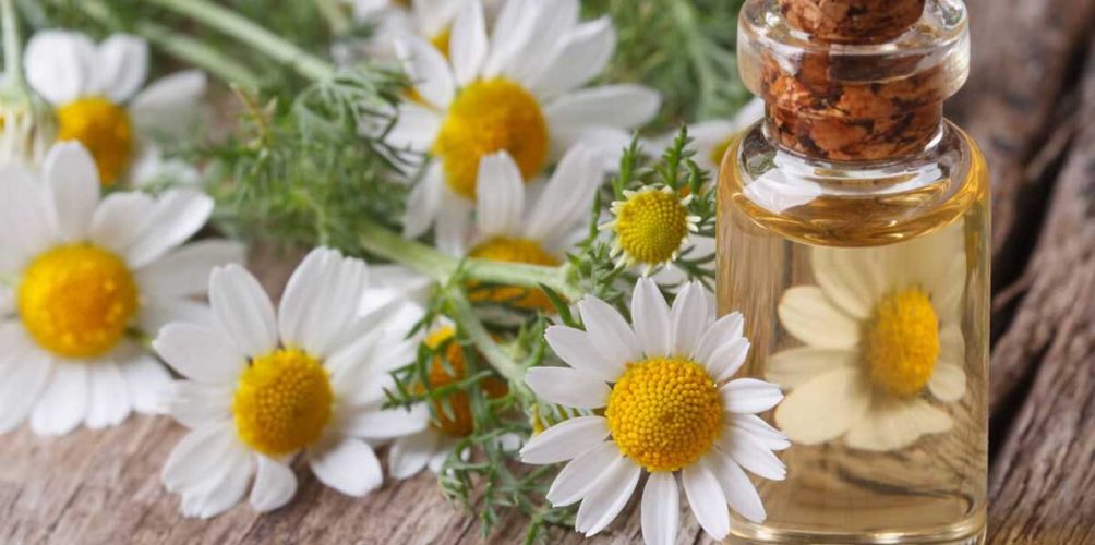 يعمل كمضاد طبيعي للالتهابات.. وصفة البابونج للتخلص من حب الشباب والبثور