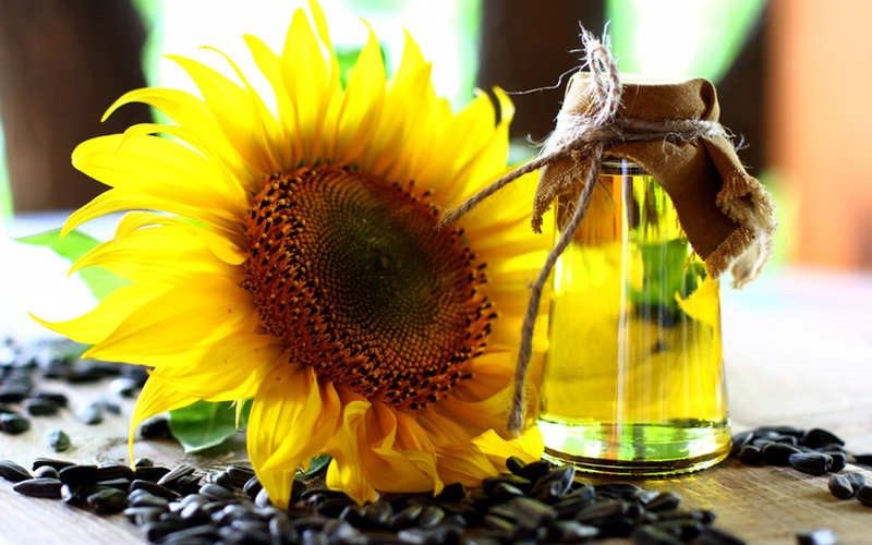 يرطب البشرة ويحارب أعراض الشيخوخة.. فوائد مذهلة لزيت بذور الشمس