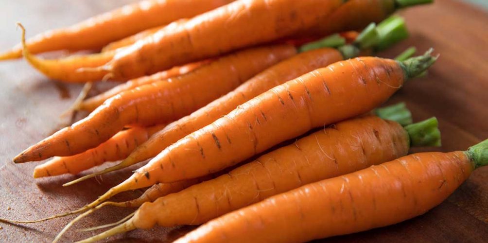 له فوائد صحية متعددة.. تناول الجزر يساعد على إنقاص الوزن