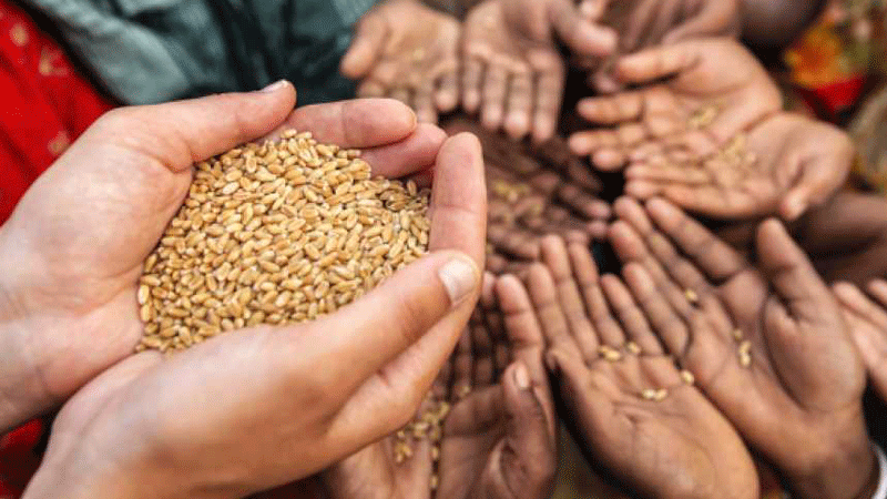 بسبب كورونا.. أكثر من ربع مليار شخص مهددون بالجوع الحاد نهاية 2020