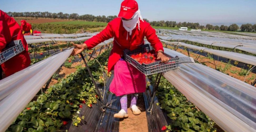 وسط صمت وزارة الصحة.. توقعات لحصيلة « ثقيلة » لبؤرة لالة ميمونة