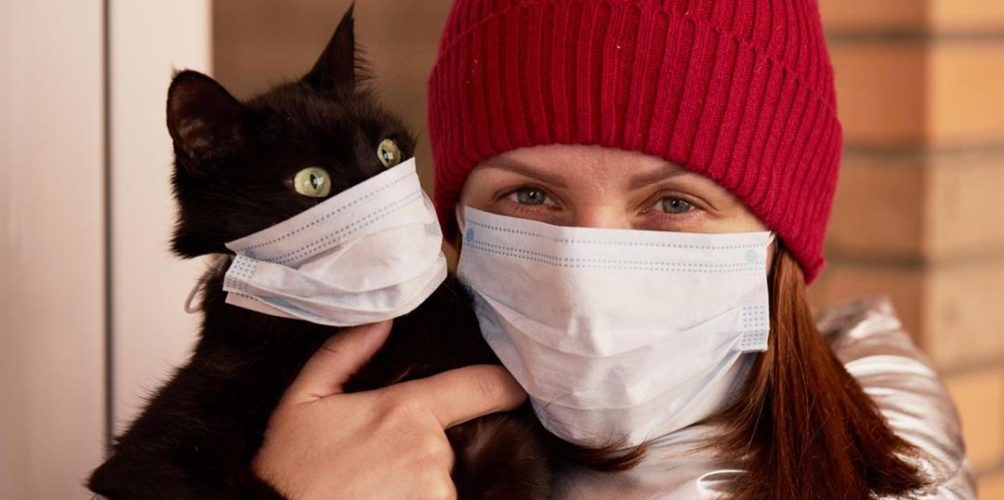 دراسة: الأشخاص المصابون بكورونا قد ينقلون العدوى إلى الحيوانات