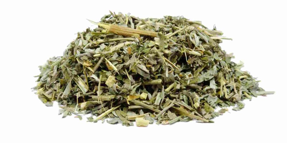 هل الشيح فعال في علاج كورونا؟ دراسة تجيب