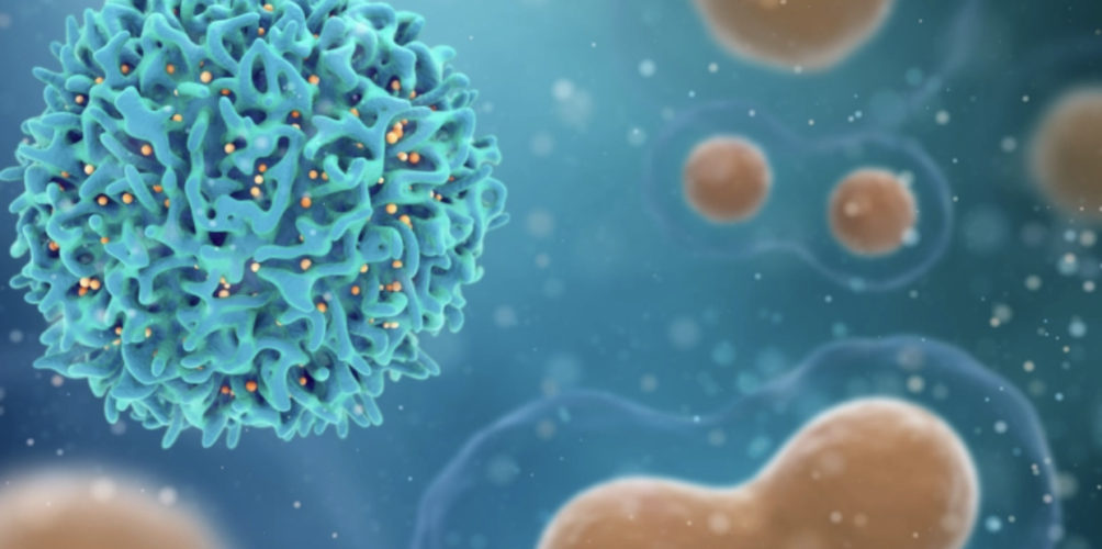 دراسة مربكة: الأجسام المضادة لـ »كوفيد-19″ لدى بعض المتعافين تهاجم الجسم بدل الفيروس