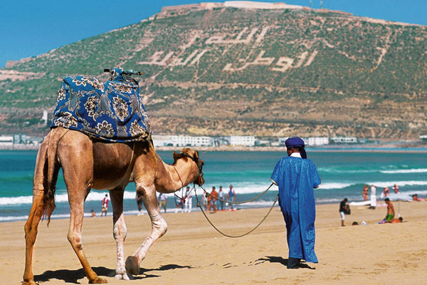 منظمة الصحة العالمية تزف خبرا سارا:  هذا موعد عودة الحياة إلى طبيعتها!