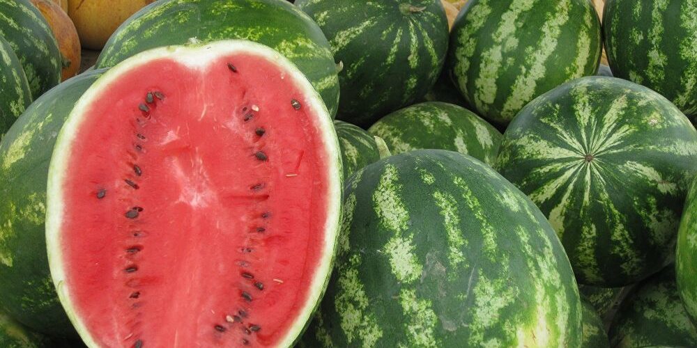 لسلامتكم.. خبيرة تنصح بالقيام بخطوة مهمة قبل تقطيع البطيخ الأحمر