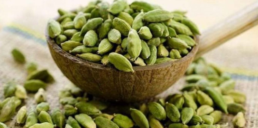 حبة الهيل وسرطان الثدي.. دراسة توضح العلاقة بينهما
