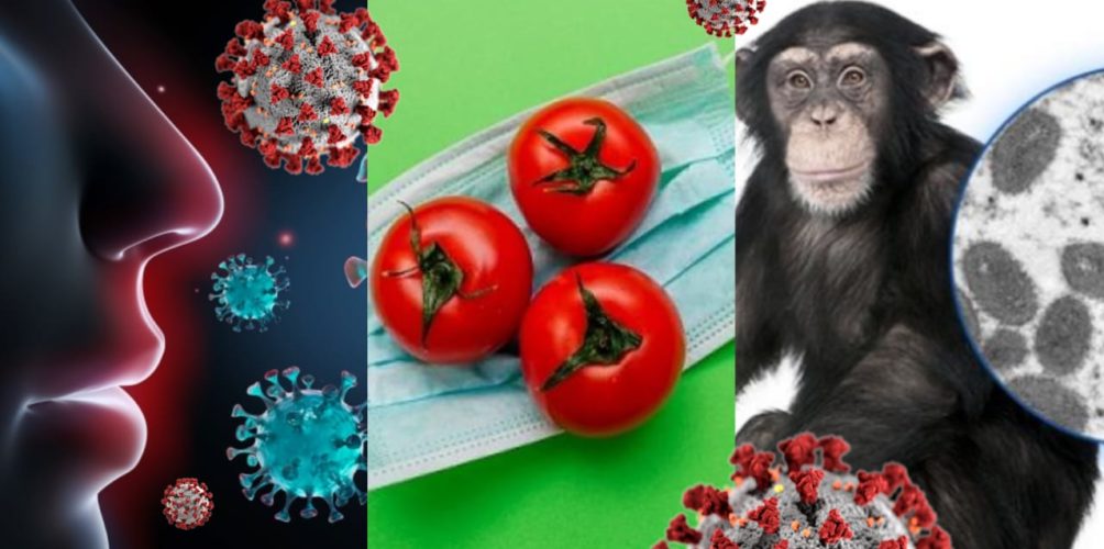 أنفلونزا الطماطم/ جدري القردة/ كورونا.. فيروسات تُرعب العالم وتُضحك أهل الفايس بوك (صور)