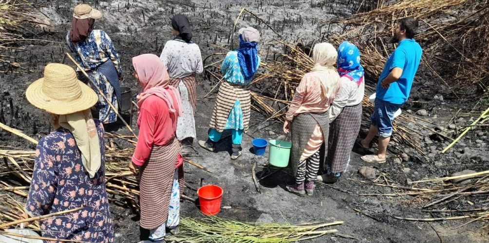 في غياب الرجال.. نساء يتمكن من إخماد حريق في تاونات
