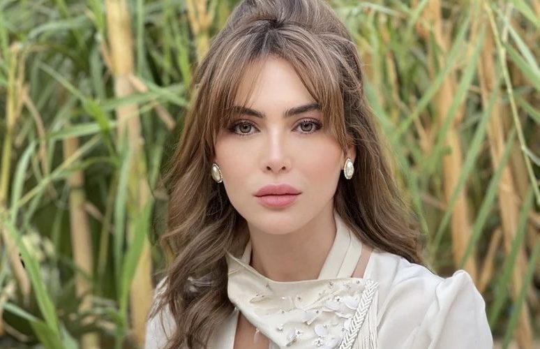 بشبهة تبييض الأموال وإثراء غير مشروع.. إيقاف النجمة اللبنانية ستيفاني صليبة